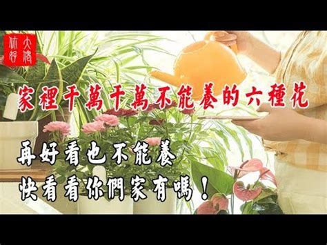 櫻花風水|為何今年櫻花種植成風水熱門？